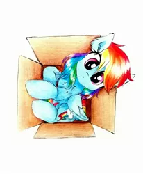 Size: 2322x2824 | Tagged: safe, artist:liaaqila, derpibooru import, rainbow dash, pegasus, pony, behaving like a cat, box, cardboard box, cute, dashabetes, if i fits i sits, lightly watermarked, looking at you, looking up, looking up at you, overhead view, pony in a box, simple background, solo, traditional art, watermark, white background