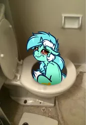 Size: 2740x4000 | Tagged: safe, artist:witchtaunter, derpibooru import, lyra heartstrings, pony, unicorn, abuse, crying, irl, l.u.l.s., lyrabuse, photo, ponies in real life, sitting, solo, toilet