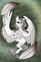Size: 4907x7447 | Tagged: safe, artist:charlotteartz, derpibooru import, oc, oc:hunter dream, pegasus, pony, absurd resolution, feather, female, mare, solo, two toned wings, wings