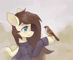 Size: 1280x1052 | Tagged: safe, artist:koviry, derpibooru import, oc, unofficial characters only, bird, pegasus, pony, clothes, male, raised hoof, smiling, solo, sparrow, sweater