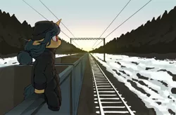 Size: 1998x1313 | Tagged: safe, artist:shinodage, derpibooru import, fresh coat, pony, unicorn, beanie, cart, clothes, female, floppy ears, freighthopping, hat, hoodie, mare, pants, profile, railroad, sitting, snow, solo, train, winter