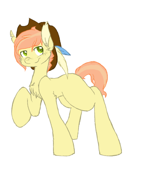 Size: 650x750 | Tagged: safe, artist:flow3r-child, derpibooru import, oc, unofficial characters only, earth pony, pony, blank flank, colt, cowboy hat, feather, freckles, hat, male, offspring, parent:big macintosh, parent:fluttershy, parents:fluttermac, raised hoof, simple background, solo, transparent background