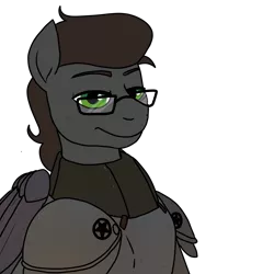 Size: 3000x3000 | Tagged: armor, artist:pony quarantine, derpibooru import, fallout equestria, glasses, male, oc, oc:scott, pegasus, power armor, safe, simple background, solo, stallion, transparent background