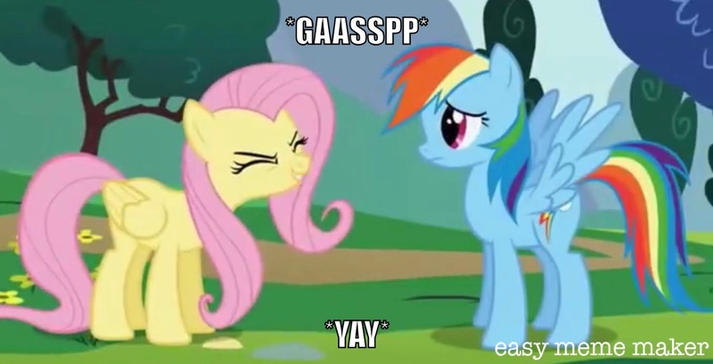 Size: 1534x782 | Tagged: safe, artist:titus16s, derpibooru import, edit, edited screencap, screencap, fluttershy, rainbow dash, pegasus, pony, sonic rainboom (episode), caption, flutteryay, image macro, meme, text, yay