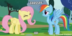 Size: 1534x782 | Tagged: safe, artist:titus16s, derpibooru import, edit, edited screencap, screencap, fluttershy, rainbow dash, pegasus, pony, sonic rainboom (episode), caption, flutteryay, image macro, meme, text, yay