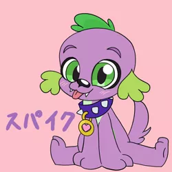 Size: 768x768 | Tagged: safe, artist:nene, derpibooru import, spike, spike the regular dog, dog, equestria girls, :p, blushing, cute, japanese, katakana, looking at you, male, pink background, pixiv, simple background, sitting, solo, spikabetes, tongue out