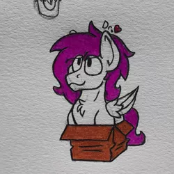 Size: 1725x1725 | Tagged: artist:drheartdoodles, behaving like a cat, box, chest fluff, clydesdale, coloring, derpibooru import, oc, oc:dr.heart, pegasus, safe, smiling, solo, traditional art, unofficial characters only