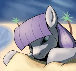 Size: 2290x2143 | Tagged: safe, artist:ahobobo, derpibooru import, maud pie, earth pony, beach, cute, female, mare, maudabetes, ocean, palm tree, rock, sand, solo, that pony sure does love rocks, tree