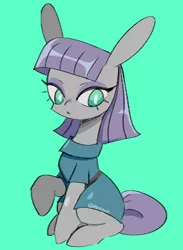 Size: 939x1282 | Tagged: safe, artist:mesqrit, derpibooru import, maud pie, earth pony, pony, commission, cute, female, green background, long ears, mare, maudabetes, simple background, sitting, solo