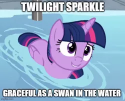 Size: 556x449 | Tagged: safe, artist:mlpfan3991, derpibooru import, edit, edited screencap, screencap, twilight sparkle, twilight sparkle (alicorn), alicorn, pony, deep tissue memories, spoiler:deep tissue memories, caption, cropped, cute, image macro, solo, swanlight sparkle, text, twiabetes, twilight duckle