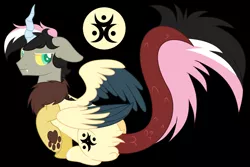 Size: 5768x3864 | Tagged: artist:jackie-sheepwitch, black background, derpibooru import, draconequus, draconequus oc, frown, horn, hybrid, interspecies offspring, oc, oc:disarray, offspring, parent:discord, parent:fluttershy, parents:discoshy, reference sheet, safe, simple background, solo, unofficial characters only, wings