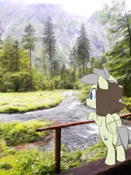 Size: 1432x1914 | Tagged: safe, artist:ikarooz, derpibooru import, oc, unofficial characters only, pegasus, pony, atg 2020, fence, forest, male, newbie artist training grounds, solo, stallion, tree