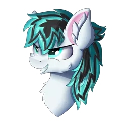 Size: 5000x5000 | Tagged: safe, artist:lunar froxy, derpibooru import, oc, oc:light jet, pegasus, pony, bust, commission, male, oc-only, simple background, solo, stallion, transparent background