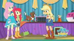 Size: 1200x677 | Tagged: safe, derpibooru import, screencap, apple bloom, applejack, fluttershy, winona, dog, best in show: the pre-show, equestria girls, equestria girls series, spoiler:eqg series (season 2), animated, apple bloom's bow, best in show logo, boots, bow, clothes, cowboy boots, cowboy hat, cropped, gif, hair bow, hat, jeans, microphone, pants, running, shirt, shoes, skirt