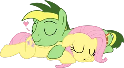 Size: 912x498 | Tagged: safe, artist:didgereethebrony, artist:drunkencoffee, derpibooru import, fluttershy, oc, oc:didgeree, pegasus, pony, base used, butt pillow, canon x oc, cute, cutie mark, floating heart, heart, shipping, simple background, sleeping, trace, transparent background