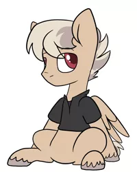 Size: 2000x2500 | Tagged: safe, artist:katyusha, derpibooru import, oc, oc:terminal velocity, pegasus, pony, commission example, male, sitting