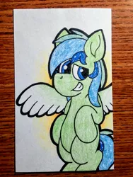 Size: 1920x2560 | Tagged: artist:thebadbadger, derpibooru import, irl photo, oc, pegasus, pegasus oc, photo, safe, source needed, traditional art, unofficial characters only, wings