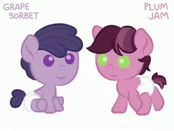 Size: 4000x3000 | Tagged: safe, derpibooru import, oc, oc:grape sorbet, oc:plum jam, earth pony, pony, baby, colt, diaper, female, filly, foal, grape, male, plum, solo, young