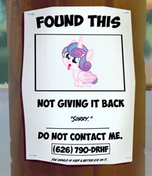 Size: 518x600 | Tagged: safe, artist:sollace, derpibooru import, princess flurry heart, alicorn, pony, a flurry of emotions, adorable face, behaving like a dog, cuddly, cute, cuteness overload, cutest pony alive, cutest pony ever, daaaaaaaaaaaw, flurrybetes, foal, found, found this, grammar error, hnnng, infantilism, meme, open mouth, ponified meme, poster, puppy, silly, silly pony, smiling, solo, tongue out, weapons-grade cute
