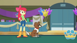 Size: 1200x676 | Tagged: safe, derpibooru import, screencap, apple bloom, cranky doodle donkey, fluffersnuff, winona, dog, best in show: the victory lap, equestria girls, equestria girls series, spoiler:eqg series (season 2), animated, apple bloom's bow, balloon, boots, bow, clothes, collar, cropped, cup, dog collar, door, gif, hair bow, hand on hip, jeans, leaning, looking at each other, pants, pet, petting, shirt, shoes, short pants, smiling, sweater, table, walking