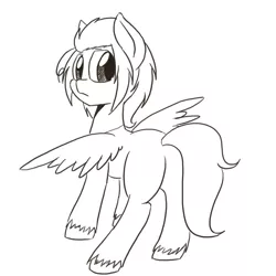 Size: 900x900 | Tagged: safe, artist:askponybrandenburg, derpibooru import, ponified, pegasus, pony, europe, female, hetalia, lineart, looking back, mare, monochrome, solo, unshorn fetlocks