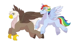 Size: 1280x732 | Tagged: safe, artist:itstechtock, derpibooru import, oc, oc:high glide, oc:spectrum rush, unofficial characters only, gryphon, hippogriff, hybrid, pony, flying, goggles, interspecies offspring, male, offspring, parent:dumbbell, parent:gilda, parent:rainbow dash, parent:soarin', parents:gildabell, parents:soarindash, simple background, stallion, transparent background