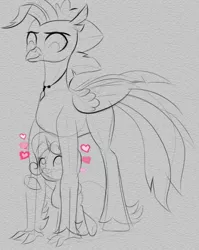 Size: 553x693 | Tagged: artist:cosmonaut, derpibooru import, female, heart, hippogriff, male, monochrome, older, safe, shipping, size difference, straight, sweetie belle, tall, terrabelle, terramar