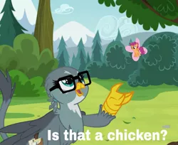 Size: 1325x1080 | Tagged: safe, derpibooru import, gabby, scootaloo, ponified, bird, butterfly, chicken, gryphon, pegasus, pony, glasses, hooves up, is this a pigeon, mail, meme, ponified meme, scootachicken, scootaloo can fly, solo