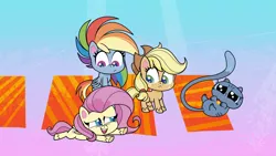 Size: 1920x1080 | Tagged: safe, derpibooru import, screencap, applejack, bubbles (cat), fluttershy, rainbow dash, cat, earth pony, pegasus, pony, cute-pocalypse meow, my little pony: pony life, spoiler:pony life s01e03