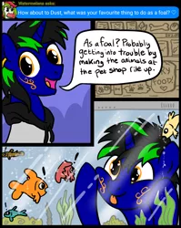 Size: 1536x1928 | Tagged: safe, artist:sjart117, derpibooru import, oc, oc:dust rock, oc:watermelana, unofficial characters only, fish, pony, unicorn, ask nyx, ask, ask dust rock, body markings, bubble, clothes, colt, fish tank, jacket, looking at you, male, permission given, pet food, pet store, speech, stallion, talking, tongue out, younger