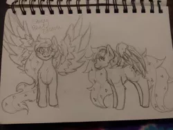 Size: 1080x817 | Tagged: safe, artist:cosmickitty.draws, derpibooru import, oc, unofficial characters only, pegasus, pony, duo, ethereal mane, lineart, pegasus oc, smiling, spread wings, starry mane, traditional art, wings