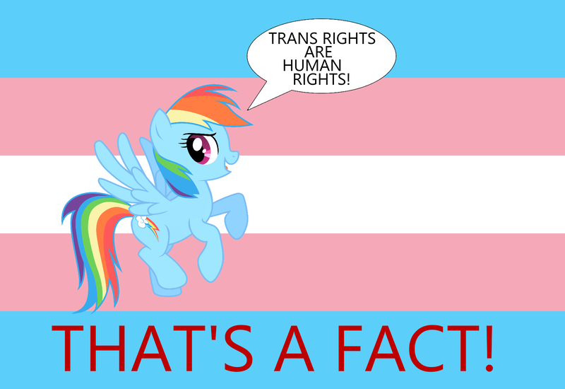 Size: 1675x1152 | Tagged: safe, derpibooru import, rainbow dash, pegasus, pony, cute, dialogue, facts, female, lgbtq, mare, mouthpiece, politics, pride, pride flag, trans rights, transgender, transgender pride flag