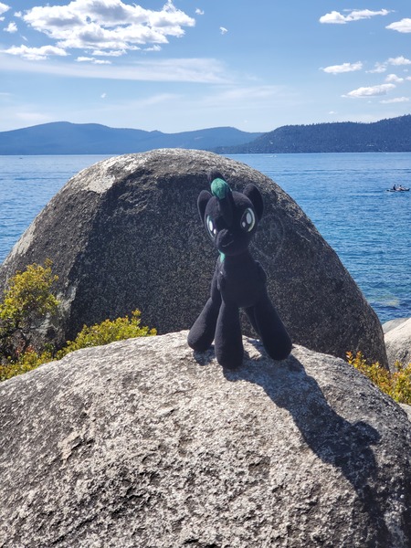 Size: 3024x4032 | Tagged: safe, derpibooru import, oc, oc:brony t pony, pegasus, pony, irl, lake tahoe, male, photo, plushie, rock, scenery, solo