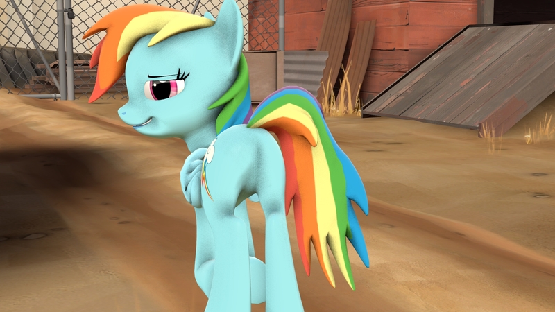 Size: 1920x1080 | Tagged: 3d, artist:acid flask, butt, derpibooru import, featureless crotch, plot, rainbow dash, rainbutt dash, rear view, sfm pony, source filmmaker, suggestive