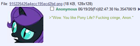 Size: 491x163 | Tagged: 4chan, alicorn, derpibooru import, drama, fucking cringe bro, implied pony life, /mlp/, oc, oc:anon, oc:nyx, pony life drama, pot calling the kettle black, safe, shitposting, vulgar