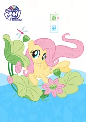 Size: 1080x1527 | Tagged: safe, derpibooru import, official, fluttershy, dragonfly, insect, pegasus, pony, china, chinese text, cute, flower, pond, shyabetes, simple background, solar term, solo, summer solstice, white background
