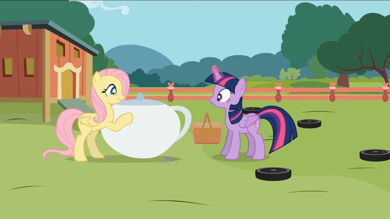 Size: 1432x806 | Tagged: safe, artist:forgalorga, derpibooru import, fluttershy, twilight sparkle, twilight sparkle (alicorn), alicorn, pegasus, pony, basket, female, food, it's picnic time, mare, picnic basket, roomba, roombashy, tea, tea kettle