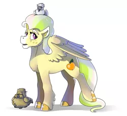 Size: 4468x4069 | Tagged: safe, artist:mylittlegodzilla, derpibooru import, oc, oc:apple jam, bird, pegasus, pony, cutie mark, male, simple background, solo, stallion, standing, white background, wings