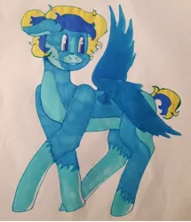 Size: 1080x1258 | Tagged: safe, artist:enusgabor, derpibooru import, oc, oc:chester, unofficial characters only, pegasus, female, mare, pegasus oc, smiling, socks (coat marking), solo, traditional art, wings