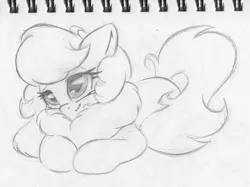 Size: 2007x1505 | Tagged: adorable face, artist:zemer, chest fluff, cute, derpibooru import, female, fluffy, lidded eyes, mare, monochrome, oc, oc:feather belle, pegasus, pencil drawing, prone, safe, solo, traditional art, unofficial characters only