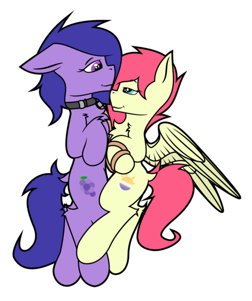 Size: 2048x2448 | Tagged: safe, artist:bitrate16, derpibooru import, oc, oc:eclipse flight, oc:grapie, earth pony, pegasus, collar, earth pony oc, female, lead, leash, looking at each other, male, mare, pegasus oc, shipping, simple background, smiling, stallion, transparent background, vector, wings