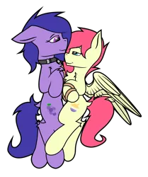 Size: 2048x2448 | Tagged: safe, artist:bitrate16, derpibooru import, oc, oc:eclipse flight, oc:grapie, earth pony, pegasus, collar, earth pony oc, female, lead, leash, looking at each other, male, mare, pegasus oc, shipping, simple background, smiling, stallion, transparent background, vector, wings