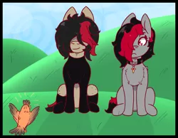 Size: 1340x1040 | Tagged: safe, artist:lazerblues, derpibooru import, oc, oc:miss eri, oc:xtacy, unofficial characters only, bird, earth pony, pony, chest fluff, choker, clothes, duo, female, freckles, hair over eyes, hair over one eye, mare, shirt, socks