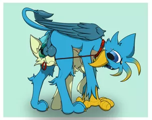 Size: 1339x1062 | Tagged: explicit, artist:starrypallet, derpibooru import, gallus, sandbar, earth pony, gryphon, pony, balls, beak, collar, cute, cute porn, gallabetes, gallass, gallbar, gay, leash, male, nudity, prize on the eyes, sandabetes, shipping, simple background, these aren't my glasses, wings