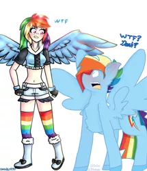 Size: 1392x1616 | Tagged: safe, artist:dashblitz90-fonnie, artist:shinningblossom12, derpibooru import, rainbow dash, human, pegasus, pony, blushing, boots, chest fluff, clothes, collaboration, duo, eyelashes, female, fingerless gloves, gloves, human ponidox, humanized, looking at each other, male, open mouth, rainbow blitz, rainbow socks, rule 63, self ponidox, shoes, shorts, simple background, socks, stallion, striped socks, surprised, white background, winged humanization, wings