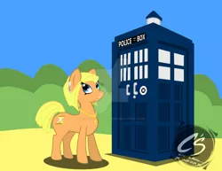 Size: 1024x792 | Tagged: safe, artist:adhiguna, artist:johnathon-matthews, derpibooru import, doctor whooves, time turner, ponified, earth pony, pony, deviantart watermark, doctor who, jodie whittaker, obtrusive watermark, solo, tardis, thirteenth doctor, watermark