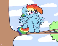 Size: 3250x2560 | Tagged: safe, artist:kimjoman, derpibooru import, rainbow dash, pegasus, pony, behaving like a bird, chest fluff, cute, female, fluffy, impossibly large chest fluff, looking up, mare, outdoors, solo, spread wings, tree, tree branch, wings