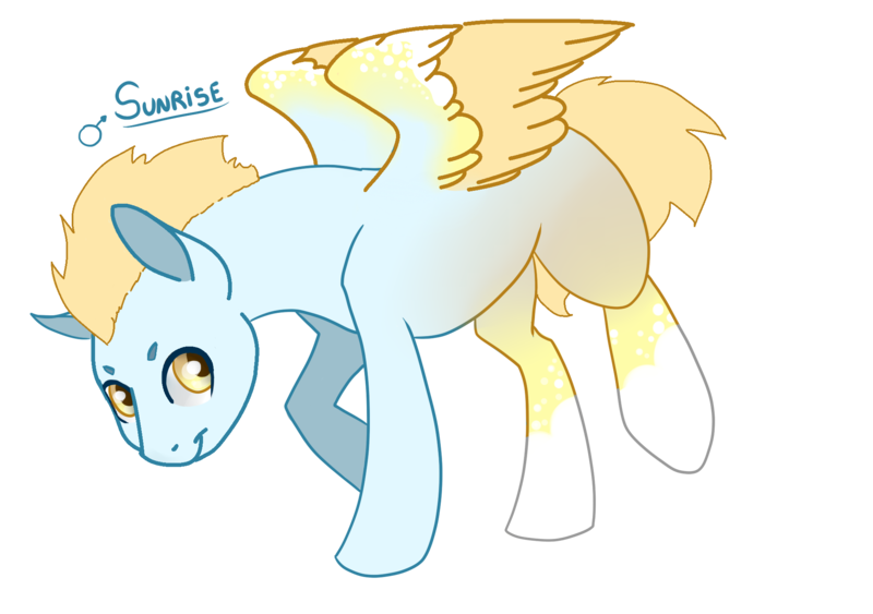 Size: 2021x1423 | Tagged: artist:ddm-adopts, derpibooru import, male, oc, oc:sunrise, pegasus, pegasus oc, safe, simple background, solo, transparent background, unofficial characters only, wings