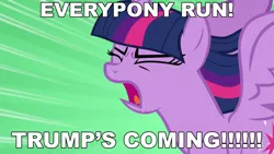 Size: 1280x720 | Tagged: alicorn, best gift ever, derpibooru import, donald trump, edit, excessive exclamation marks, politics, safe, solo, trump's coming challenge, twilight sparkle, twilight sparkle (alicorn)