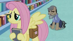 Size: 1920x1080 | Tagged: daring doubt, derpibooru import, doctor caballeron, fluttershy, groom q.q. martingale, safe, screencap